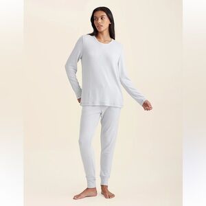 🆕 Feather Soft Long Sleeve Top and Jogger in silver grey